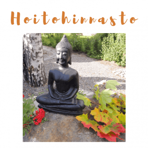 Hoidot, hoitohinnasto